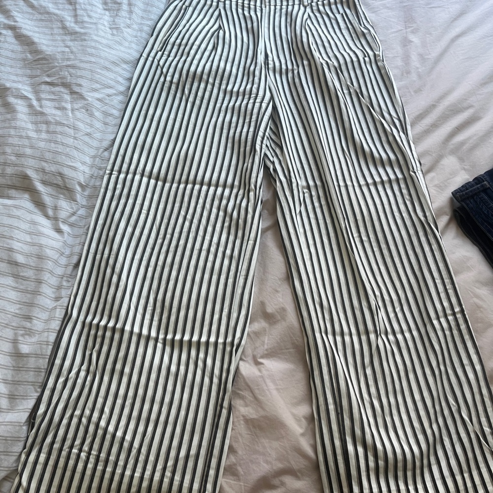 Everlane Draper Pleated Striped Pants
